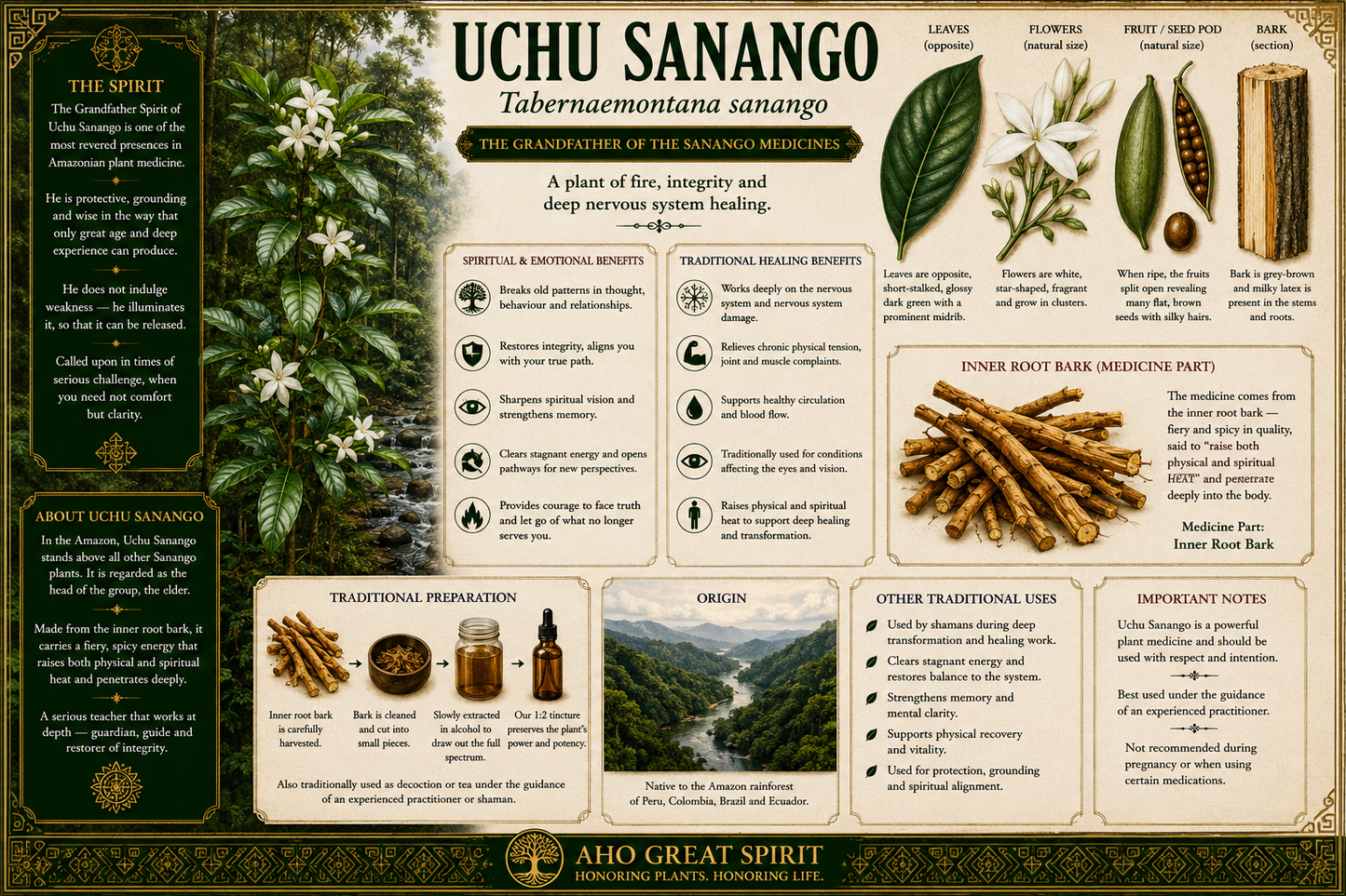 Uchu Sanango- Tabernaemontana sanango