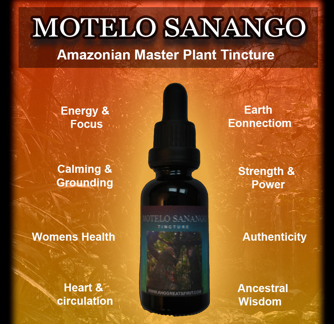 Motelo Sanango (Abuta grandifolia) 1:2 Tincture