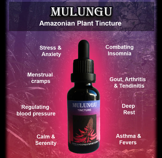 Mulungu (Erythrina mulungu) 1.2 Extract