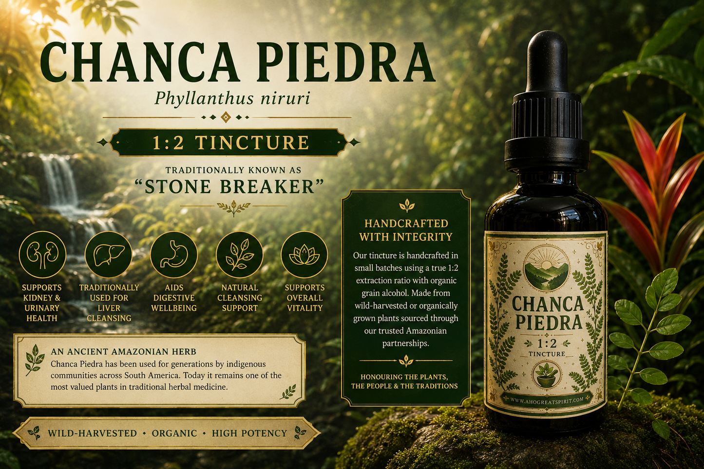 Chanca Piedra - Gale of the wind, Quebra-pedra