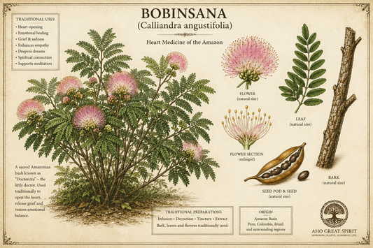 BOBINSANA BARK & LEAVES (Calliandra angustifolia)