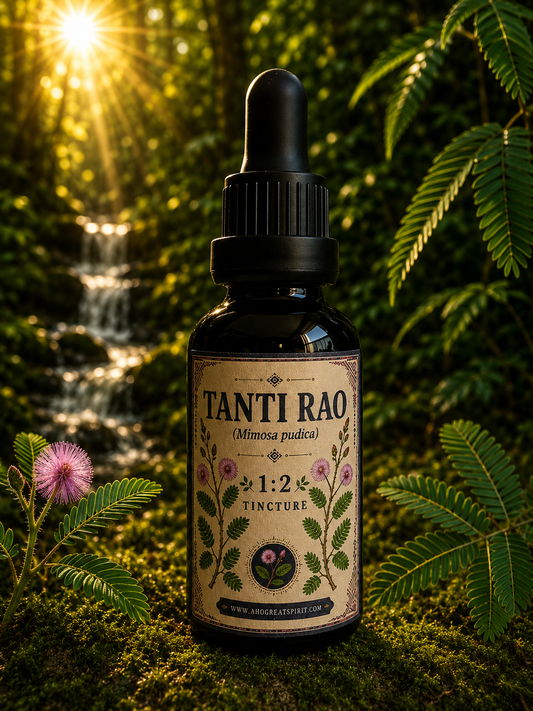 Tanti Rao - Mimosa pudica Tincture