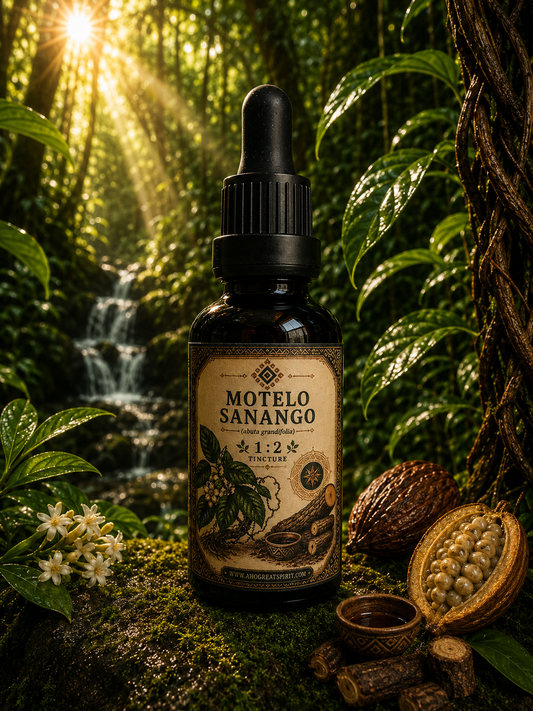 Motelo Sanango (Abuta grandifolia) 1:2 Tincture