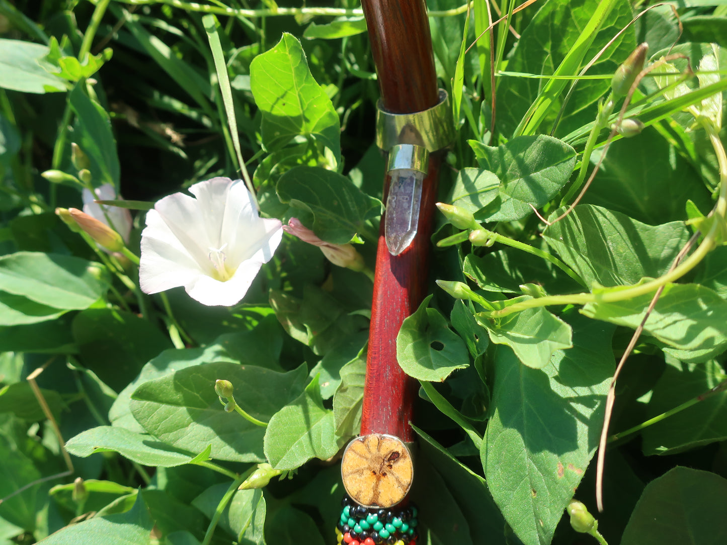Tepi Hapé Snuff Applicator Shipibo Glass Beaded Design Palo Sangre