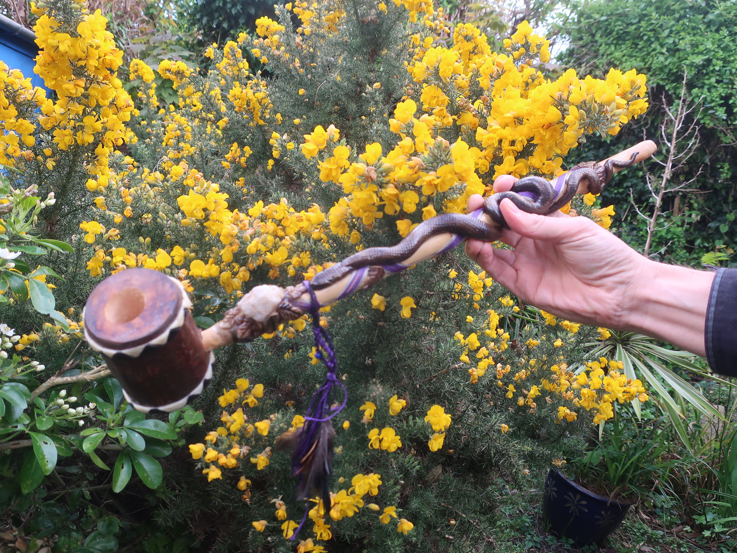 Large Ceremonial Mapacho pipe - Brazilian