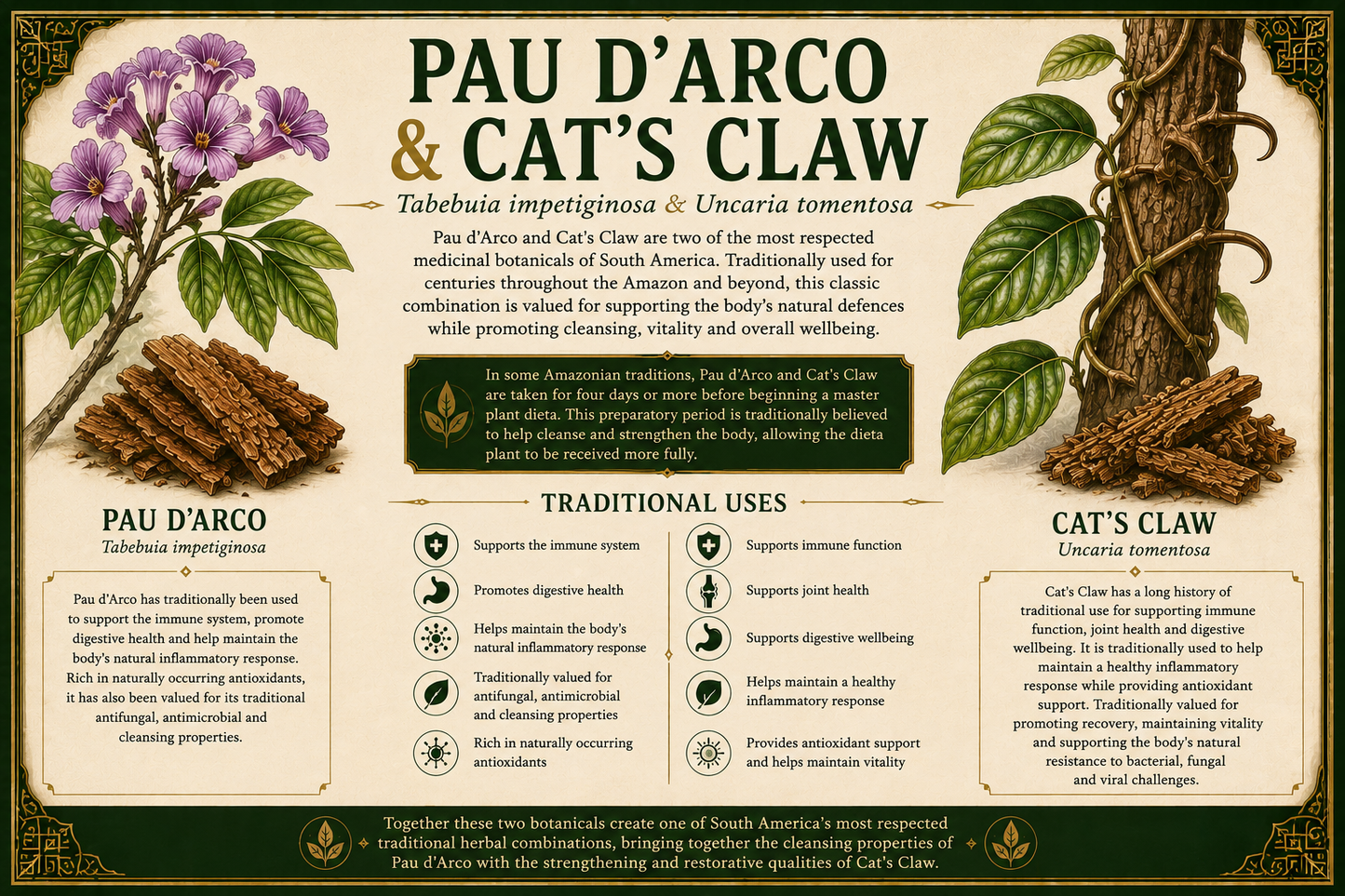 Cat's Claw & Pau d’arco 1.2 Tincture