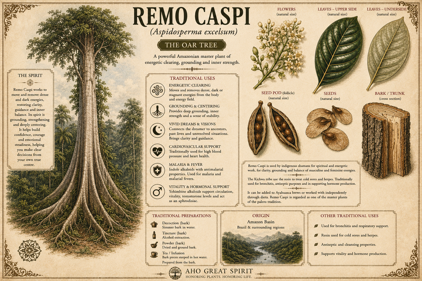 REMO CASPI (Aspidosperma excelsum)
