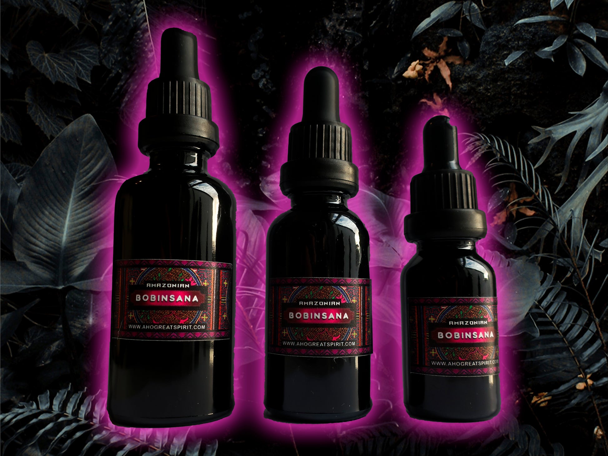 Amazonian Master plant Bobinsana - Three sizes 