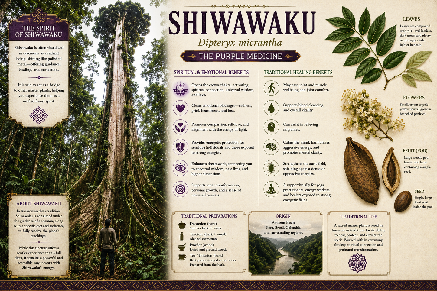 SHIWAWAKU (Cumaru, Dipteryx micrantha) 1.2
