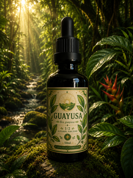GUAYUSA Extract (Ilex Guayusa)