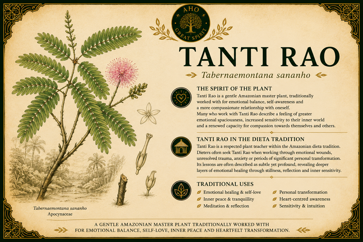Tanti Rao - Mimosa pudica Tincture