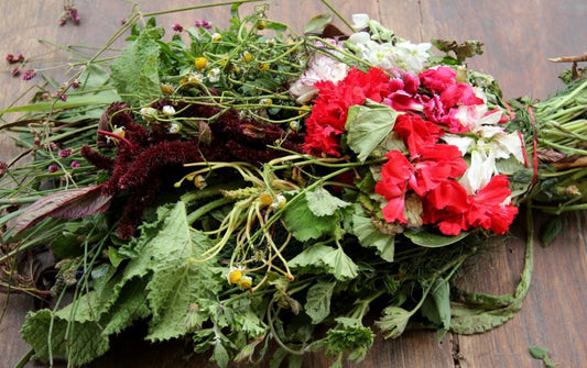 Ecuadorian Horchata Tincture 1.2