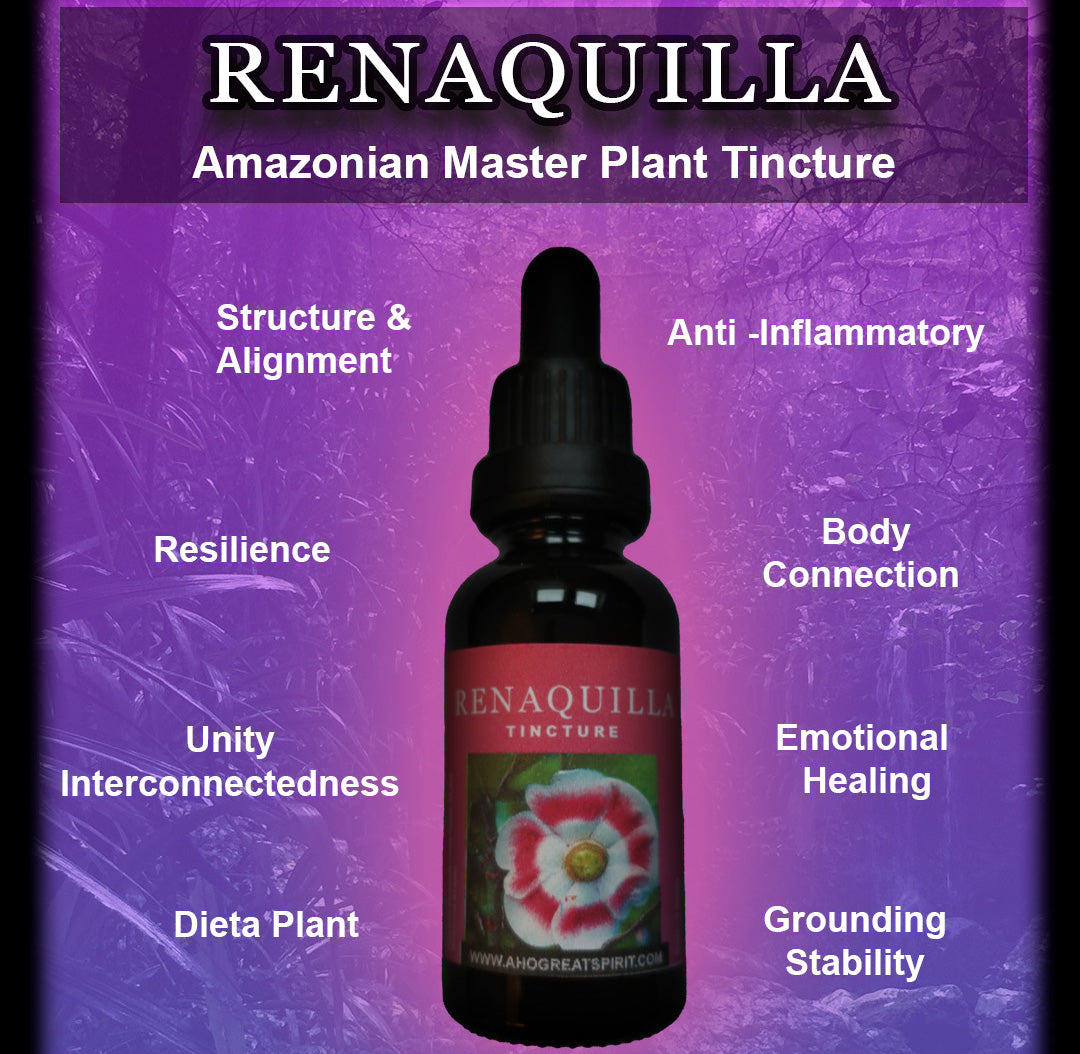 Renaquilla (Clusia rosea) 1:2 Tincture